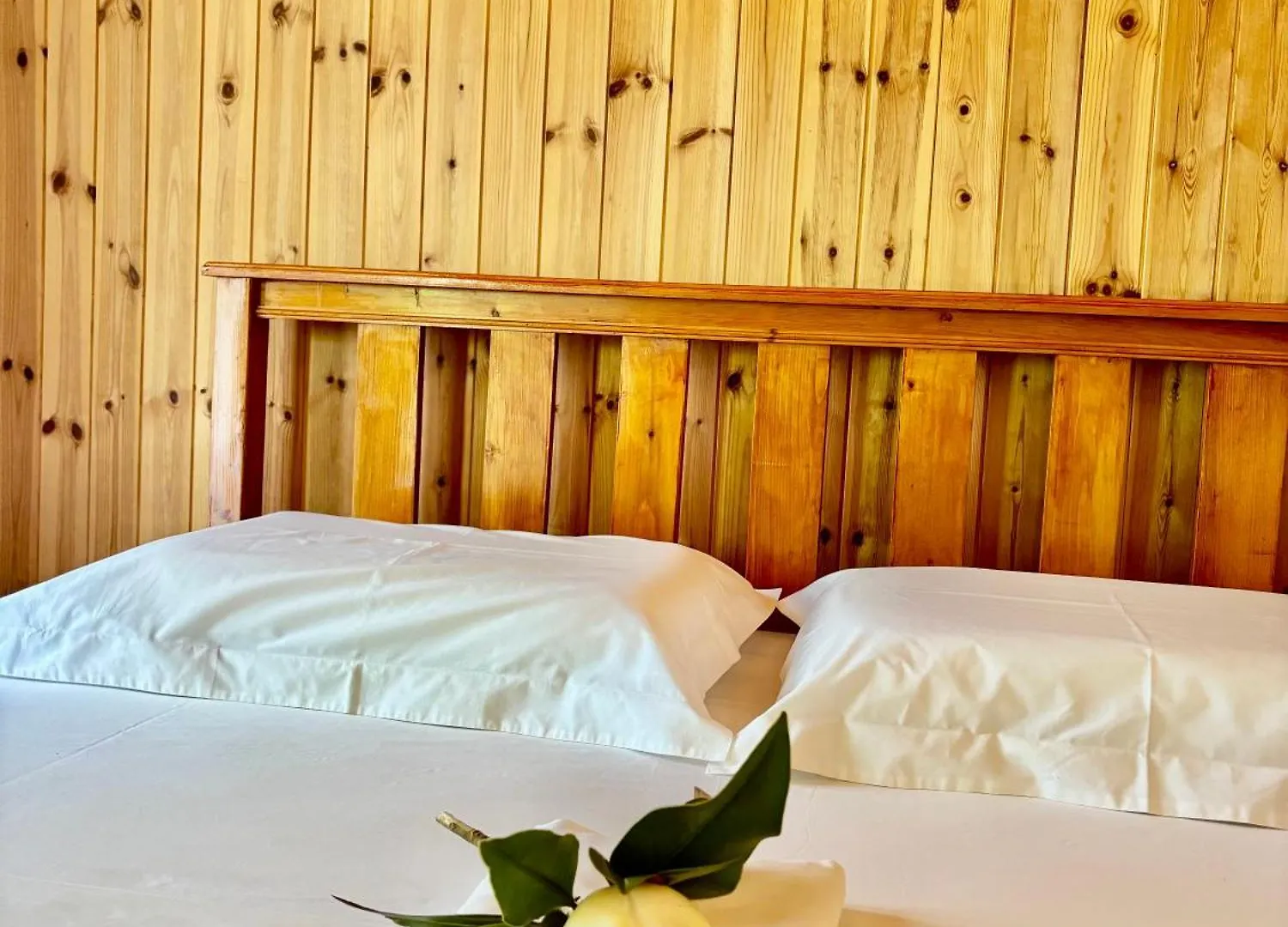 Hotel Blen Grand Berat
